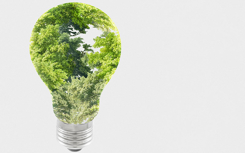 Recrutamento no setor da energia dinamizado pelos greem market