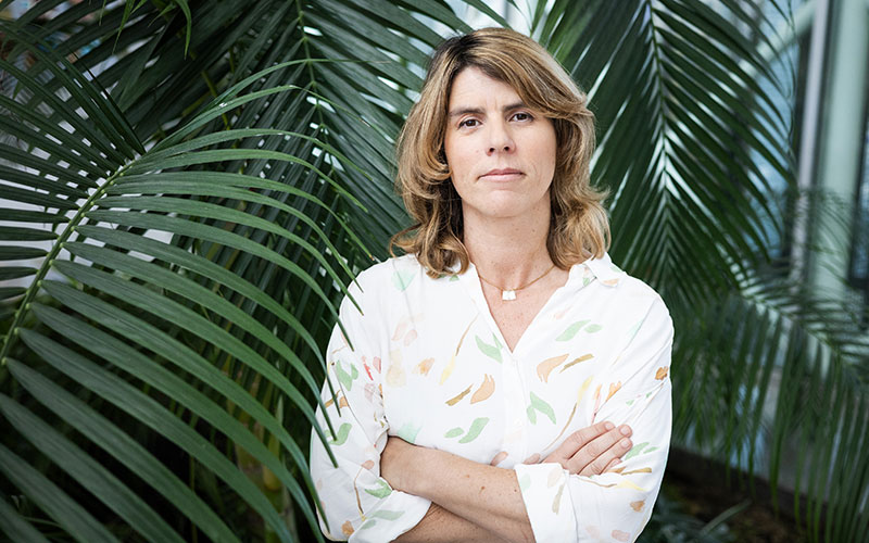 Inês Sequeira é a CEO da nova REDE CAPITAL SOCIAL