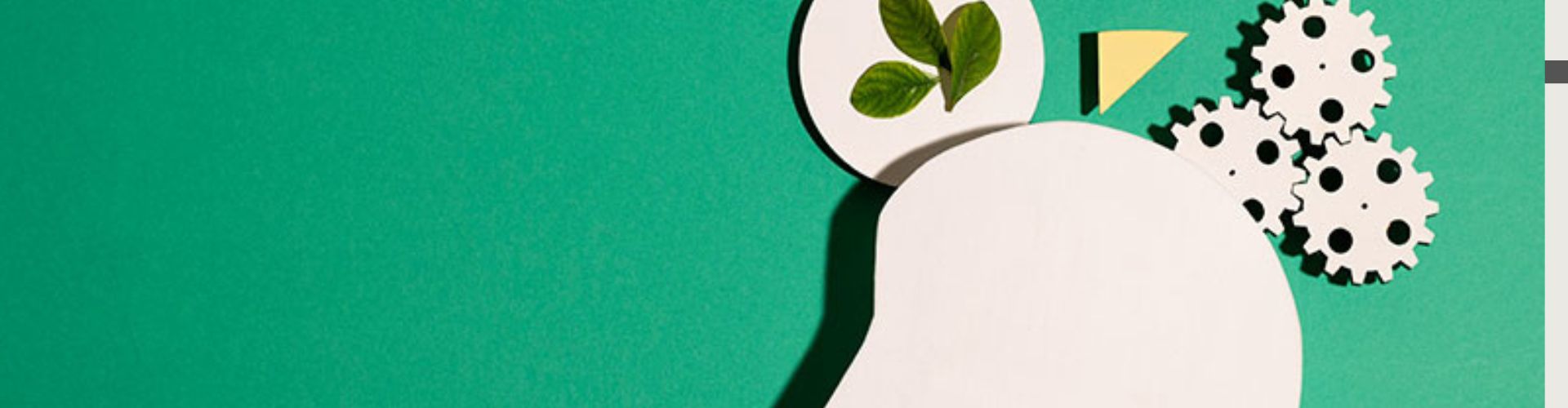 Sustentabilidade